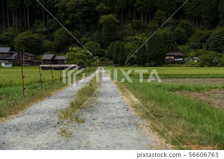 一條路 一條路 56606763