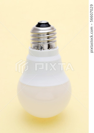 LED Light Bulb LED Light Bulb 56607029