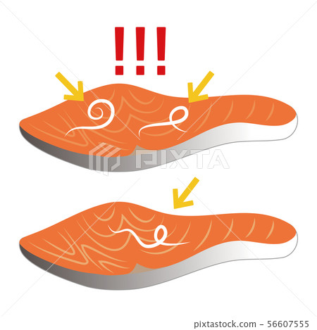 寄生生物anisakis和三文魚內圓角傳染媒介例證 56607555