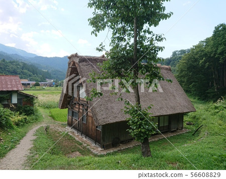Shirakawago Shirakawago 56608829