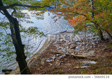 Autumn Nikko See Chuzenji Lake from the midpoint of Tochikubo and Kumakubo on the northern coastal hiking course heading for Sentegahama on Lake Chuzenji Autumn Nikko See Chuzenji Lake from the midpoint of Tochikubo and Kumakubo on the northern coastal hiking course heading for Sentegahama on Lake Chuzenji 56609119