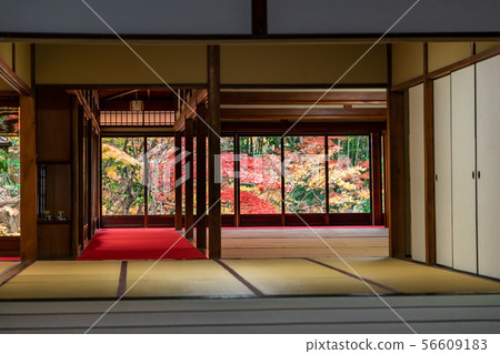 Tenshoku的框架花園後面的倉庫 Tenshoku的框架花園後面的倉庫 56609183