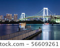Night view, bridge, city, bridge, photo, image material 5 56609261