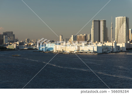 Harbor, bay, sea, city, building, sky tree, photo, image material 56609284