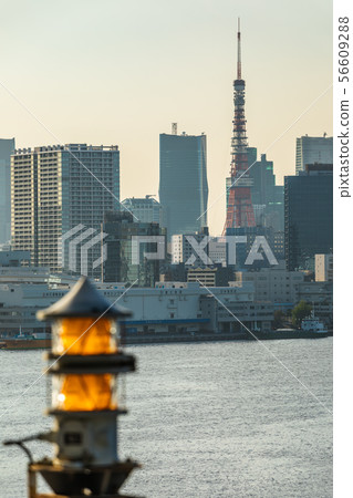港口,海,海灣,航空障礙燈,東京鐵塔,照片,圖像素材 港口,海,海灣,航空障礙燈,東京鐵塔,照片,圖像素材 56609288