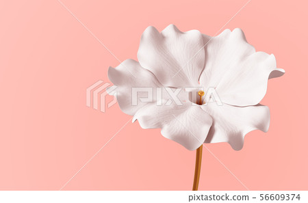 Conceptual Flower Viola On Pink Background 56609374