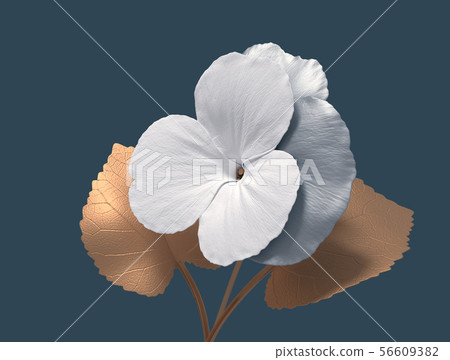 Conceptual Flower Viola On Blue Background Conceptual Flower Viola On Blue Background 56609382