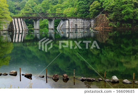 臼井湖 56609685