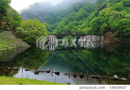 臼井湖 56609687