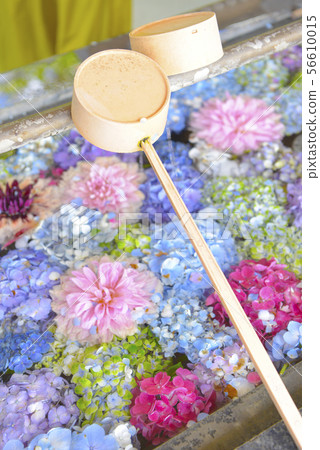 Hanatei Water, Kasuga Shrine, Fukuoka Prefecture 56610015