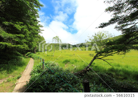 Oahara Wetland Oahara Wetland 56610315