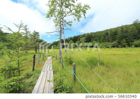 Oahara Wetland Oahara Wetland 56610340