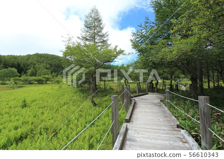 Oahara Wetland 56610343