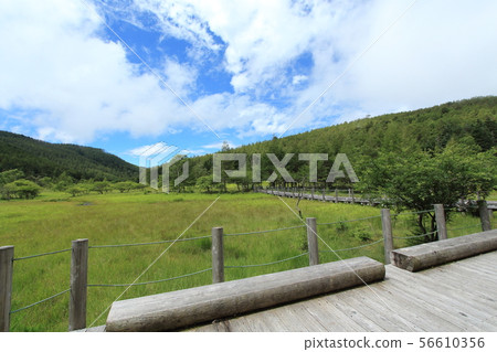 Oahara Wetland 56610356