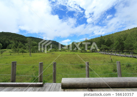 Oahara Wetland Oahara Wetland 56610357