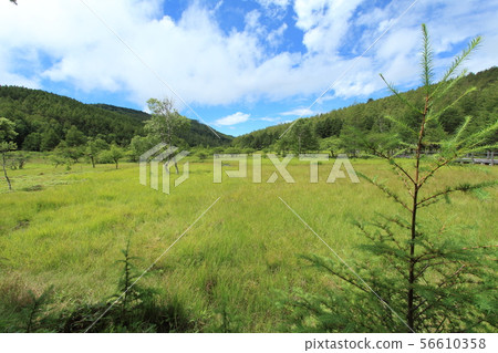 Oahara Wetland 56610358