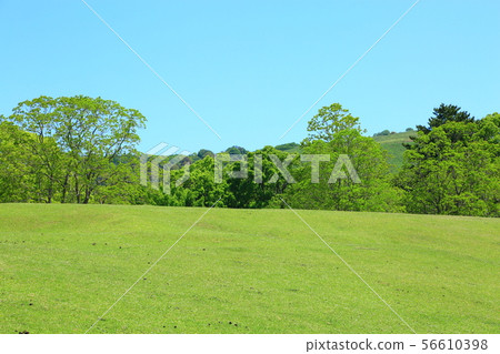 Nara Park Fresh Green Hibino Hill Nara Park Fresh Green Hibino Hill 56610398