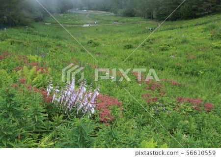 Irigasa Mountain Irigasa Mountain 56610559