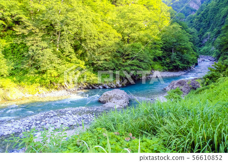 Summer cheersong gorge 56610852