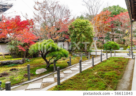 北條北花園 北條北花園 56611843