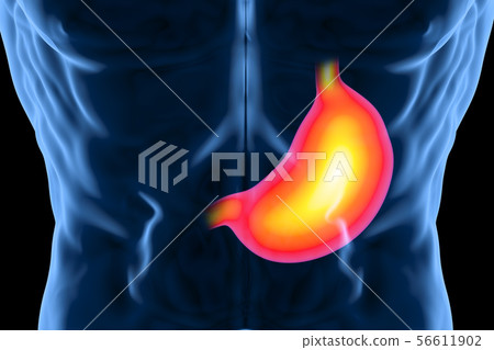 stomach in pain 56611902