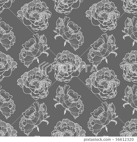 Peony flower seamless pattern Vector hand drawn - Stock Illustration ...
