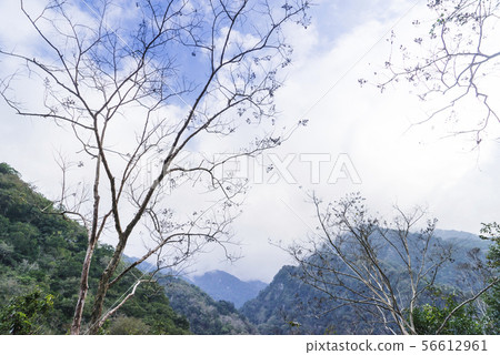太魯閣國家公園白楊步道鬼斧神工的大理岩峽谷景觀 56612961