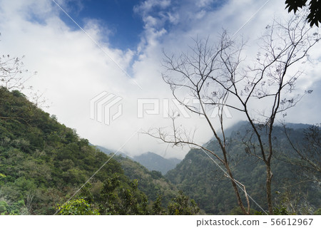 The marble gorge landscape of the Taroko National Park in the Taroko National Park 56612967