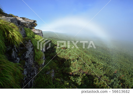 A white rainbow over the forest in Hokkaido 56613682