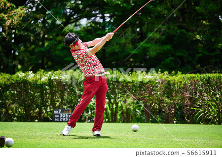 golf  56615911