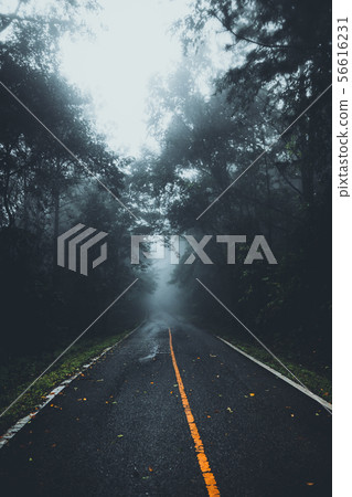 The road into the forest in the rainy season The road into the forest in the rainy season 56616231