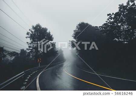 The road into the forest in the rainy season 56616246