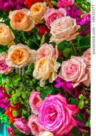 Roses on Valentine's Day 56616377