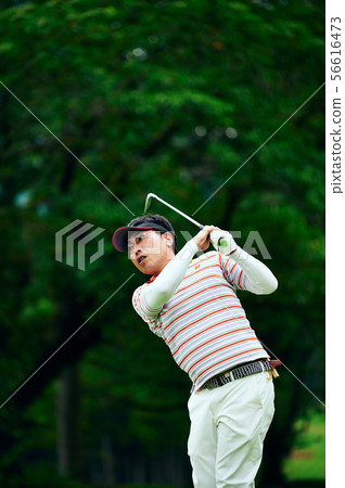 golf  56616473