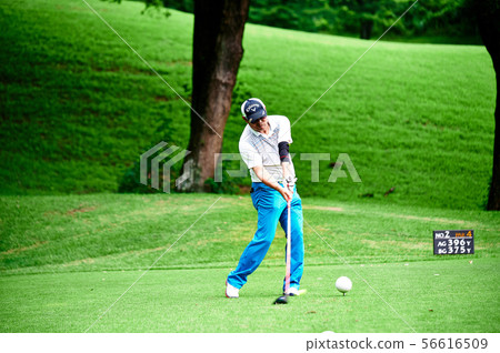 golf  56616509