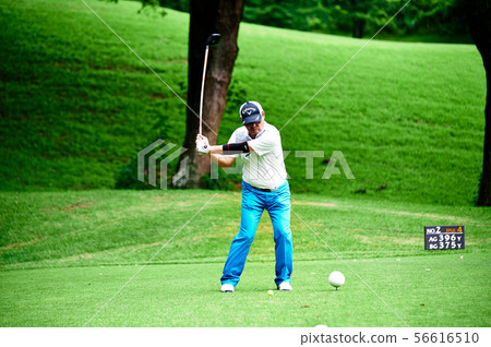 高爾夫球 56616510