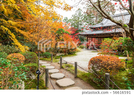 在Daishoin前面的Sumshin花園 在Daishoin前面的Sumshin花園 56616591