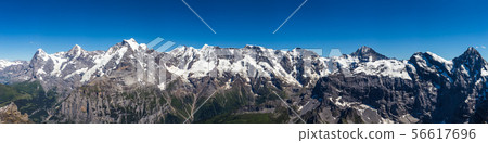 Stunning Panoramic view of Swiss Alps, Jungfrau Stunning Panoramic view of Swiss Alps, Jungfrau 56617696