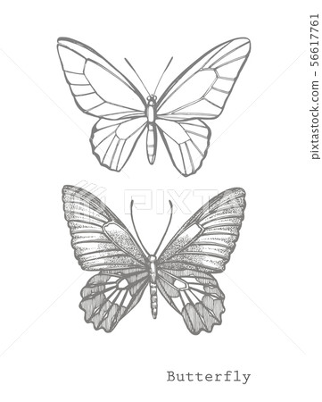 Butterflies silhouettes. Butterfly icons isolated on white background. Graphic illustration 56617761