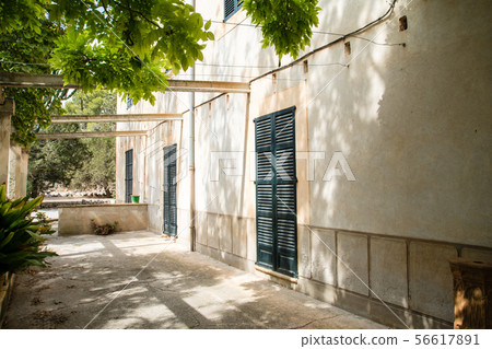 Mallorca cityscape with cream-colored walls with dark shaded doors under the shade of trees 56617891