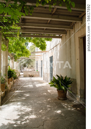 馬洛卡城市景觀與奶油色的牆壁與樹蔭下的黑暗陰影門 56617892