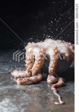 Fresh raw octopus Fresh raw octopus 56619525