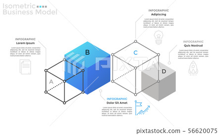 Modern Infographic Template 56620075