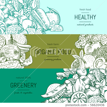 Vector doodle handdrawn vegetables and fruits vegan, healthy food banner set Vector doodle handdrawn vegetables and fruits vegan, healthy food banner set 56620436