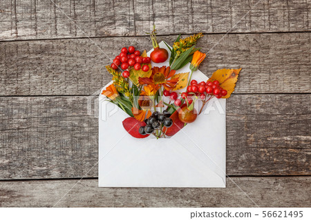 Autumn floral composition. Plants viburnum rowan berries dogrose fresh flowers colorful leaves in Autumn floral composition. Plants viburnum rowan berries dogrose fresh flowers colorful leaves in 56621495