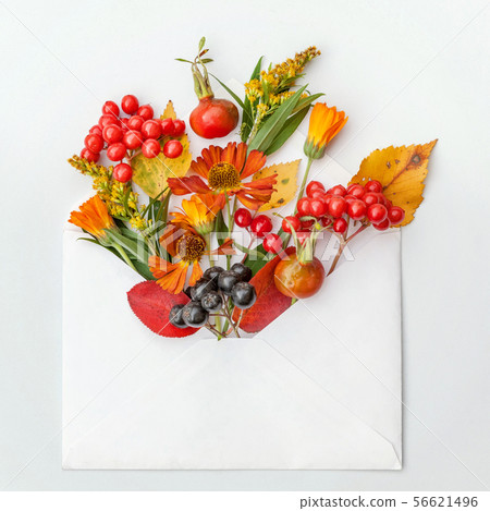 Autumn floral composition. Plants viburnum rowan berries dogrose fresh flowers colorful leaves in Autumn floral composition. Plants viburnum rowan berries dogrose fresh flowers colorful leaves in 56621496