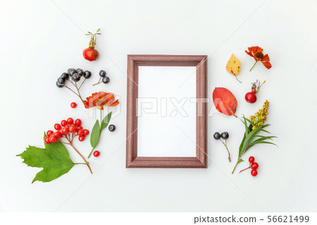 Autumn floral composition. Vertical frame mockup chokeberry rowan berries colorful leaves dogrose Autumn floral composition. Vertical frame mockup chokeberry rowan berries colorful leaves dogrose 56621499