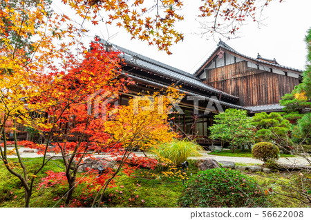 Shoin Seishin Garden Shoin Seishin Garden 56622008