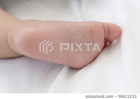 寶貝小睡一下 寶貝小睡一下 56622233