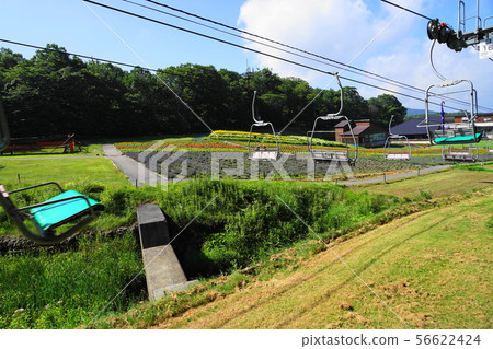 八月Numata 25 Natsuyama Lift / Tanbara薰衣草公園 56622424